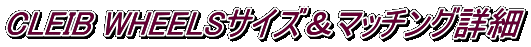 CLEIB WHEELSサイズ＆マッチング詳細